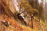 Landscape Study, Yosemite, California by Albert Bierstadt